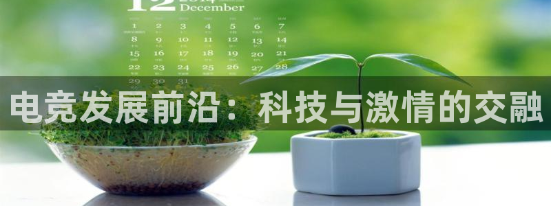 k1电竞酒店：电竞发展前沿：科技与激情的交融