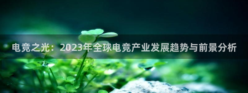 k1电竞酒店：电竞之光：2023年全球电竞产业发展趋势与前景分析