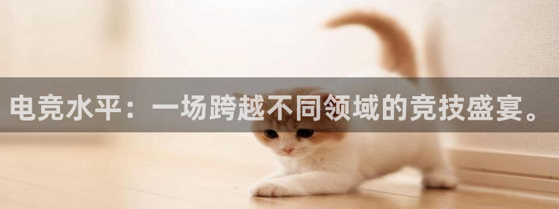 k1电竞馆：电竞水平：一场跨越不同领域的竞技盛宴。