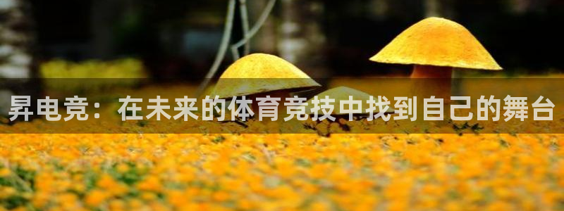 k1电竞酒店：昇电竞：在未来的体育竞技中找到自己的舞台
